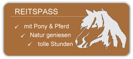 button-reitspass-klein